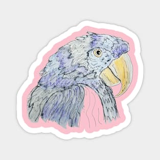 Grey parrot watercolour Magnet