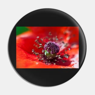 Heart of a Poppy macro Pin