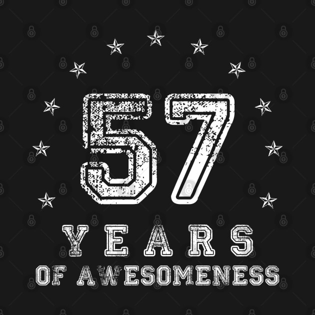 Vintage 57 years of awesomeness by opippi