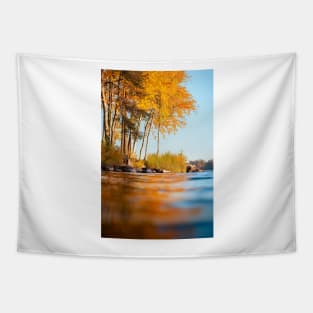 Autumn Reflection Tapestry