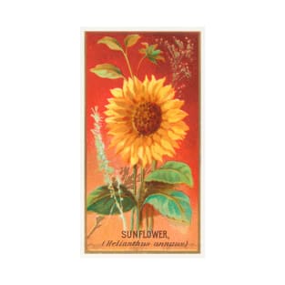 Sunflower (Helianthus annuus) T-Shirt