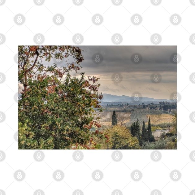 Tuscan Countryside by photorolandi