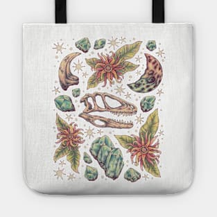 Dinosaur Fossil Art | Deinonychus Dreams Tote