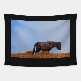 Wild Welsh Pony Tapestry