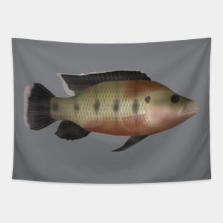 Banded Jewelfish Tapestry