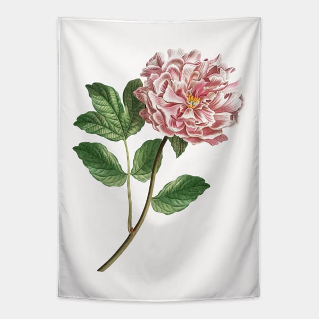 Pink peony Tapestry by CatyArte