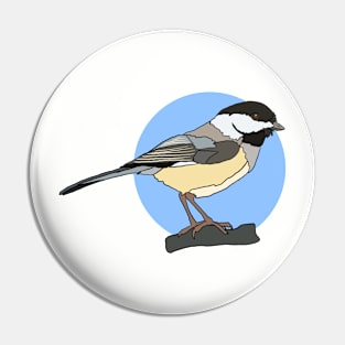 Black Capped Chickadee on Blue Pin