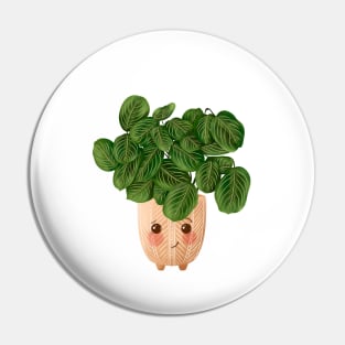 Cute Plant Illustration, Lemon Lime Prayer Plant - Maranta Pin