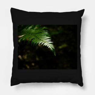 Dark Fern Pillow