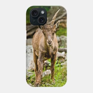 Baby Ibex Phone Case