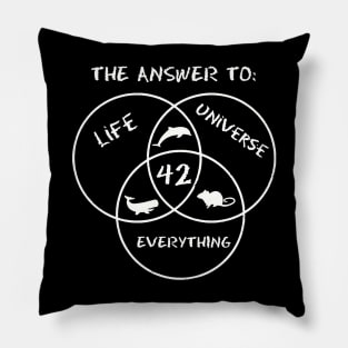 42 The Answer To Life Universe And Everything Shirt Pillow