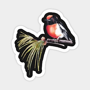 Scarlet Robin Magnet