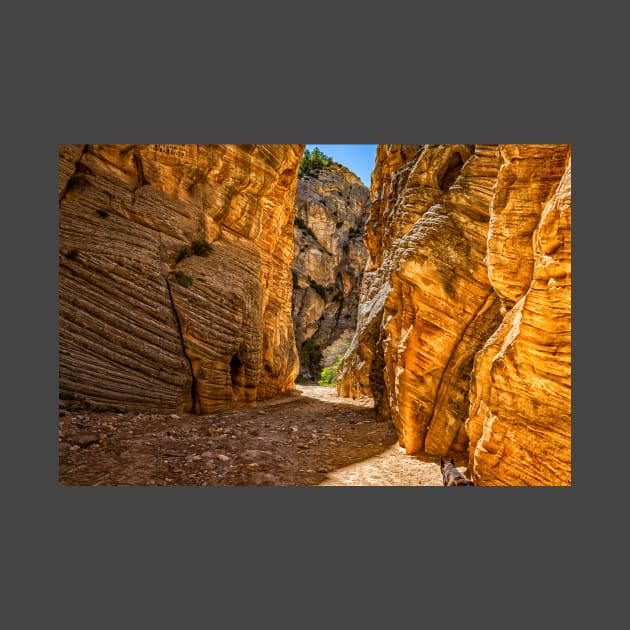 Lick Wash Trail Hike by Gestalt Imagery