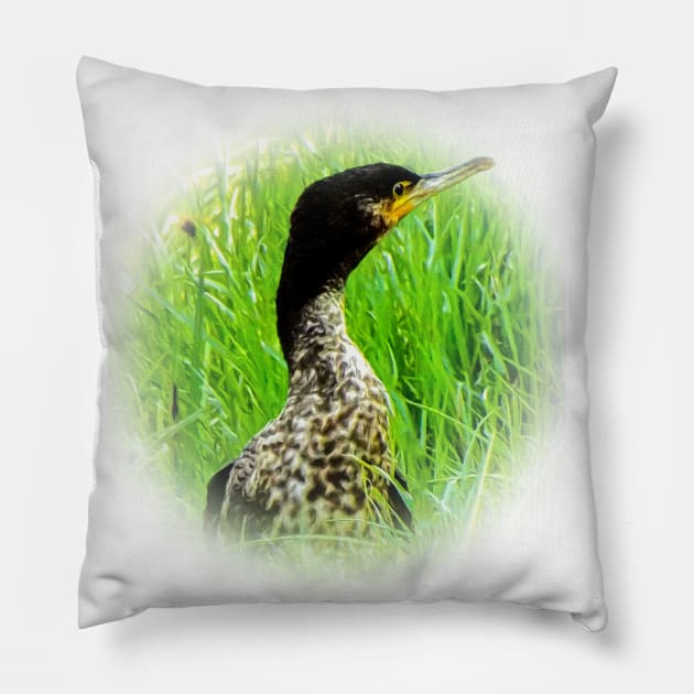 Cormorant Pillow by Guardi