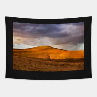 Sugar Loaf, Brecon Beacons National Park, Wales Tapestry