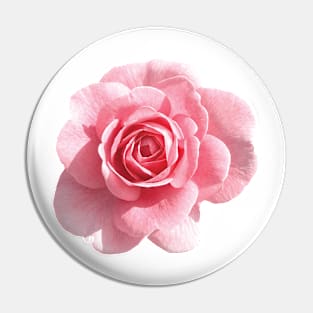 Pink Roses Pin