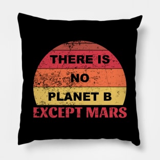 "There Is No Planet B Except Mars" Pillow