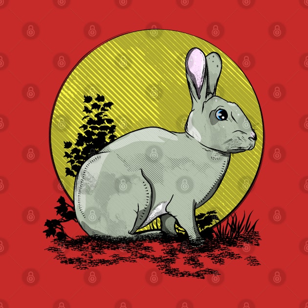 Wild rabbit by mailboxdisco