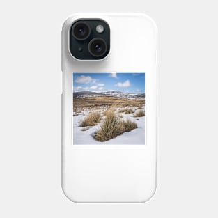 Snowed In Grasses Phone Case