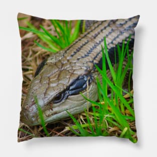 Blue Tongue Lizard enjoying the Sun! Pillow