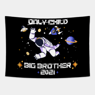 big brother 2021 boy astronaut pregancy announcement Tapestry