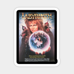 The Labyrinth Detailed Design Magnet