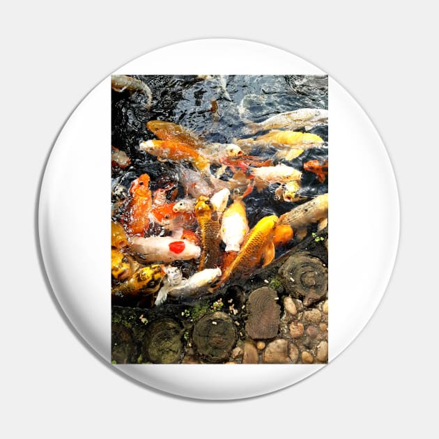 Koi karp freshwater fish sea animal Pin by LukjanovArt