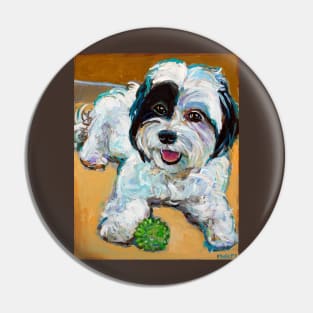 Colorful Shih Tzu With Toy by Robert Phelps Pin