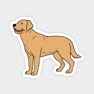 Yellow Labrador Magnet