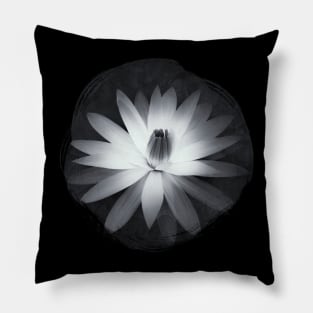 Black And White Water Lily Pillow