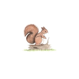 Woodland Red Squirrel T-Shirt