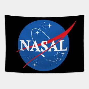 Nasa Nasal Tapestry