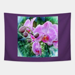 Pink Orchid flowers. Botanical art Tapestry