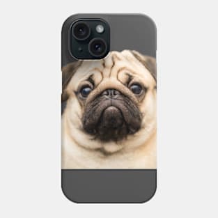 Pug The Dog Phone Case