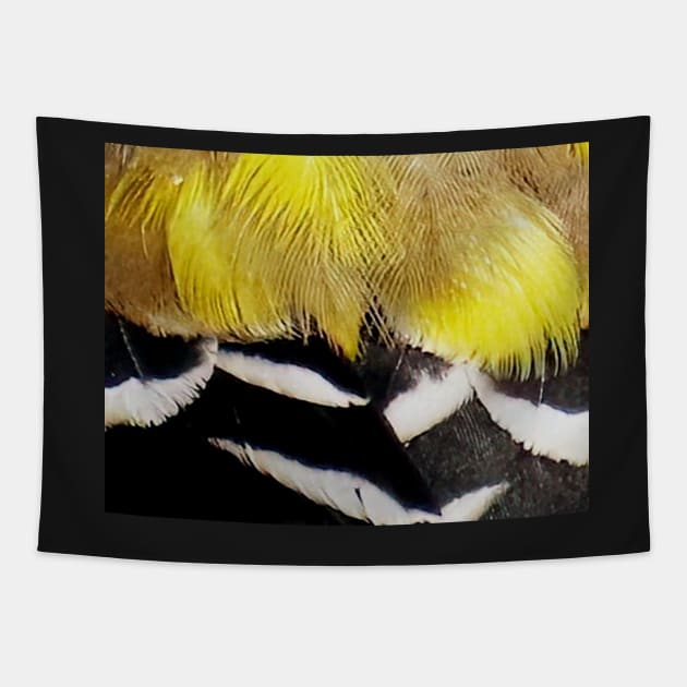 Feathers of a American Goldfinch Tapestry by BirdsnStuff