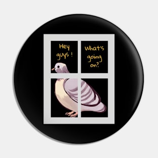 Hi, I am a pigeon. Pin