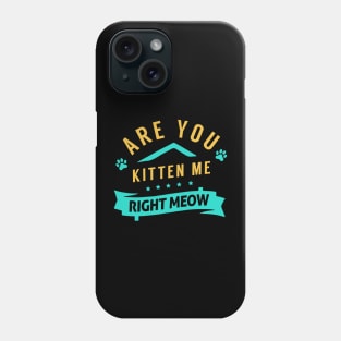 Are You Kitten Me Right Meow Phone Case