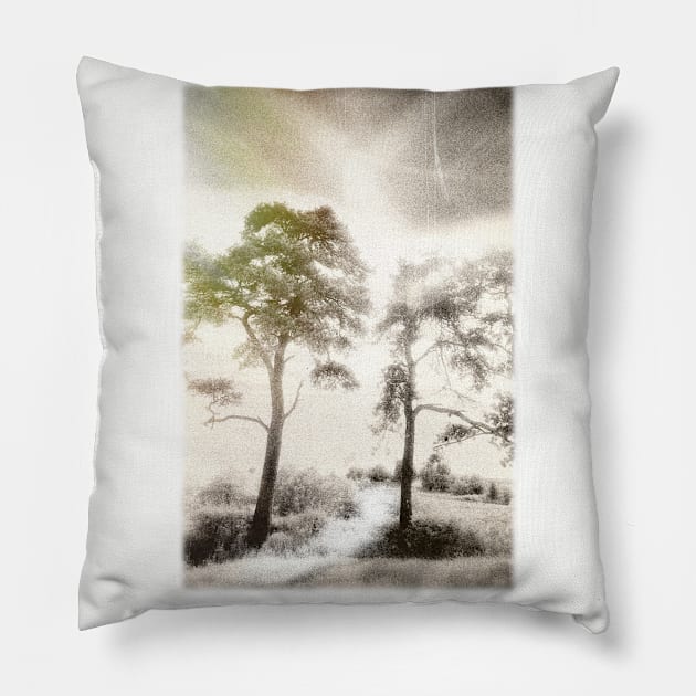 Peace before the Storm Pillow by JonDelorme