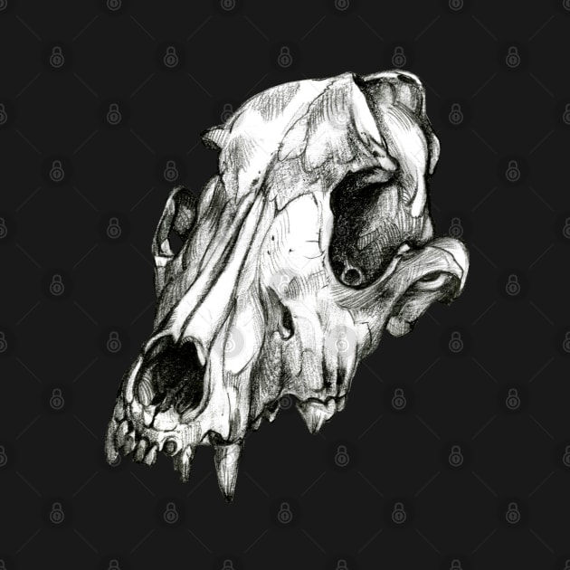 Canine Skull by Pip Tacla