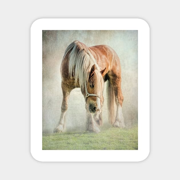 Gypsy in the morning mist Magnet by Tarrby