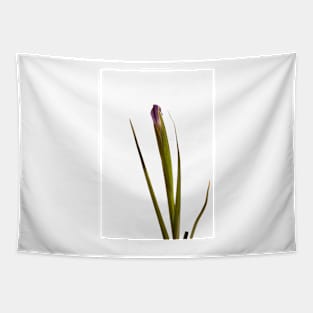 Purple Iris Bud Tapestry