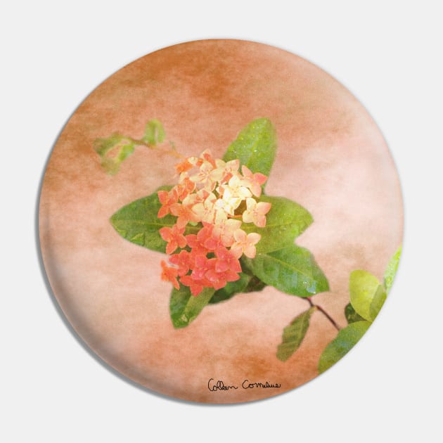 Peach Flowers Digital Art Pin by ButterflyInTheAttic