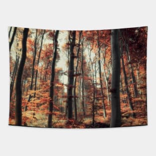 Fall in the woods Tapestry