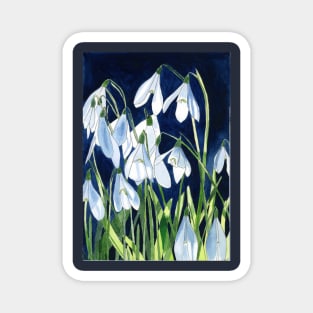 Watercolour painting of snowdrops with a dark background Magnet