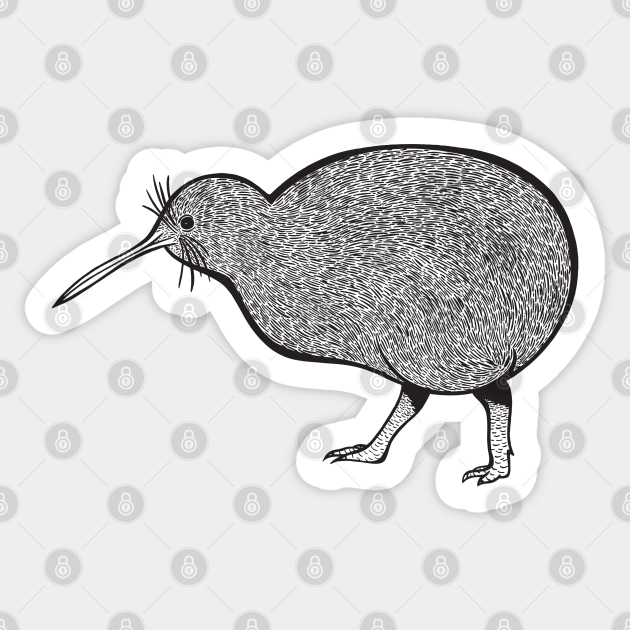 Kiwi Bird Ink Art Drawing Kiwi Bird Sticker Teepublic