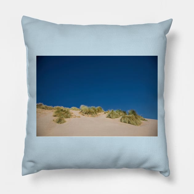 Simply Beautiful! Pillow by Violaman