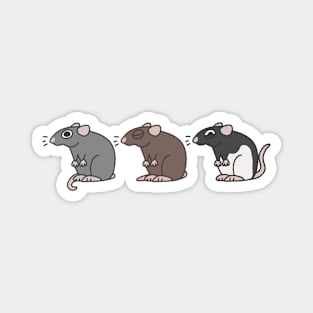 pet rats Magnet