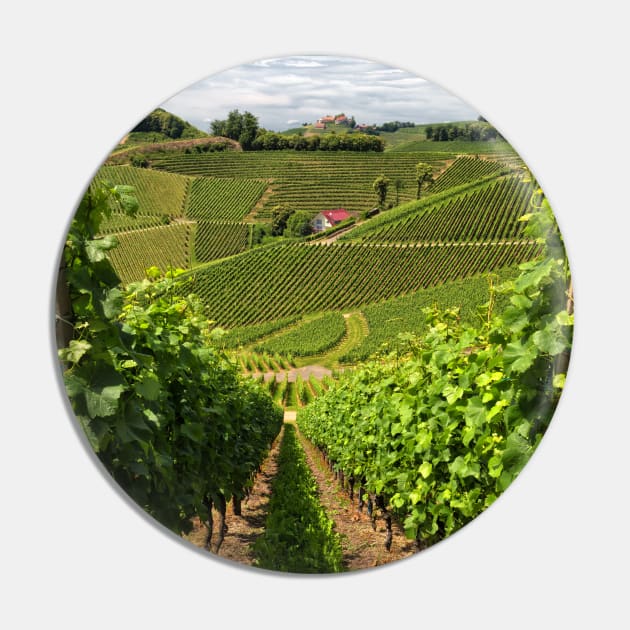 The Vineyard Pin by yairkarelic