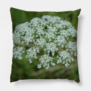 Flowers Collection 1 Pillow