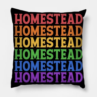 HOMESTEAD COLORFUL TEXT Pillow